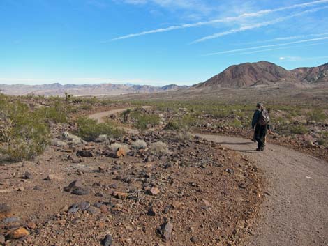 McCullough Hills Trail