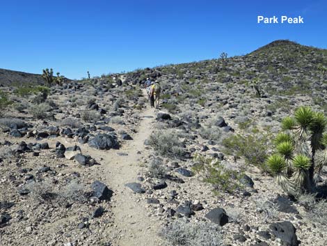 Park Peak Trail