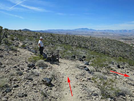 Park Peak Trail