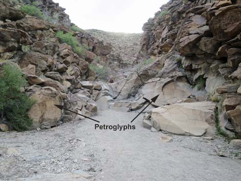 Petroglyph Trail