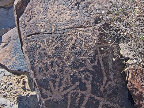 Sloan Canyon Petroglyphs