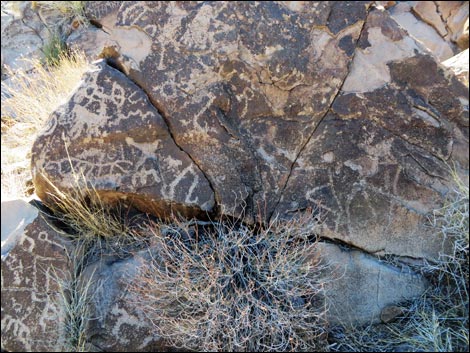 Sloan Canyon Petroglyphs