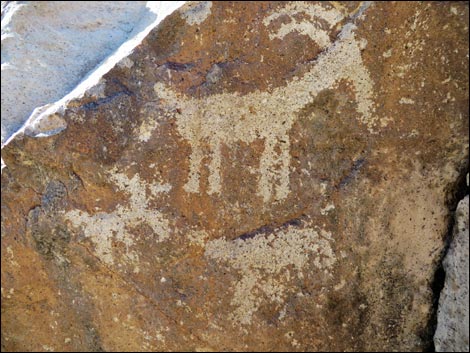 Sloan Canyon Petroglyphs