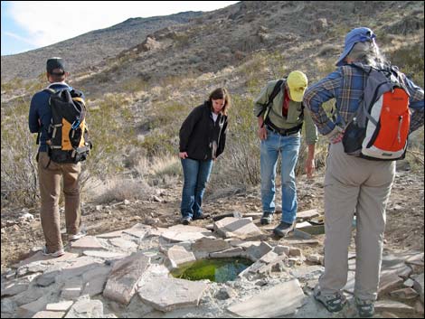 North McCullough Wilderness Area