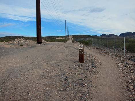 McCullough Hills Trail