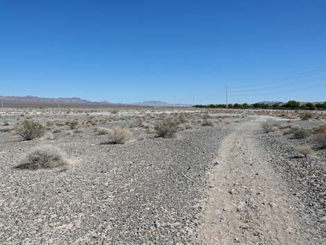 Aliente Loop Trail