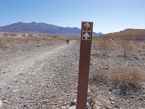 Durango Loop Temporary Trail