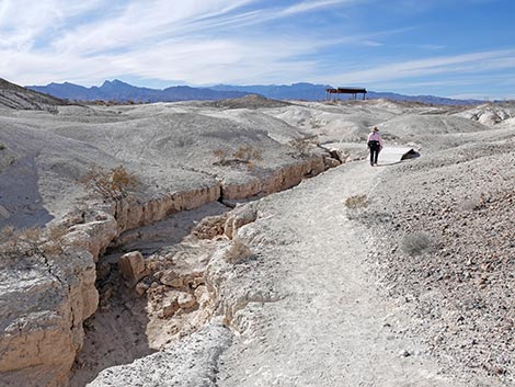 Big Dig Trail