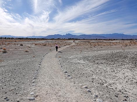 Big Dig Trail