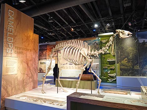 Ice Age Fossils State Park Visitor Center