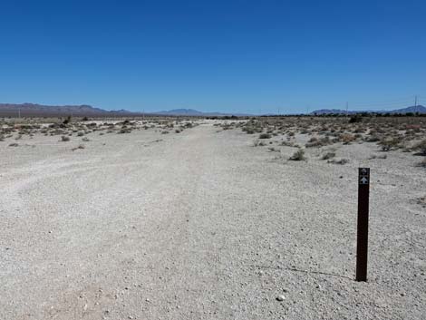 Aliente Loop Trail