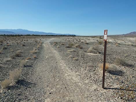 Aliente Loop Trail