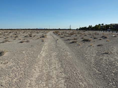 Aliente Loop Trail