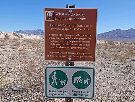 Durango Loop Temporary Trail