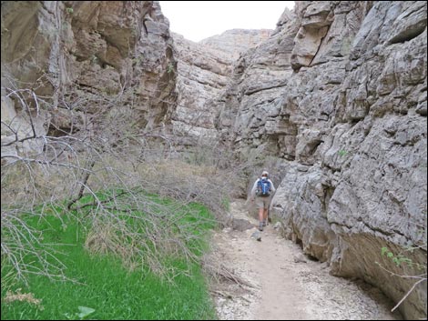 Arrow Canyon