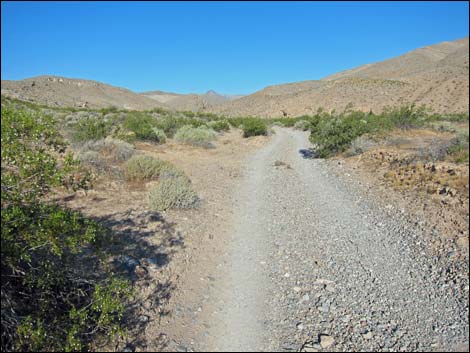 Arrow Canyon Access Road