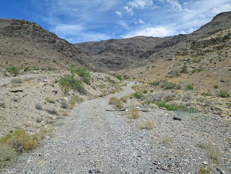 Guzzler Access Road