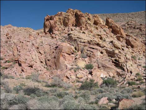 colorock quarry