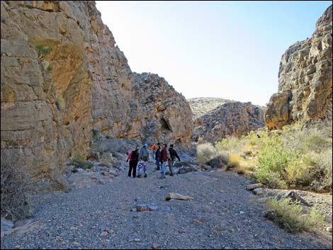 Colorock Canyon Loop