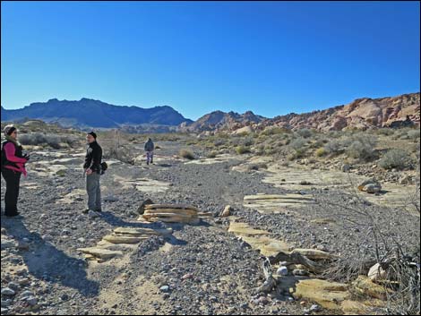 Colorock Canyon Loop