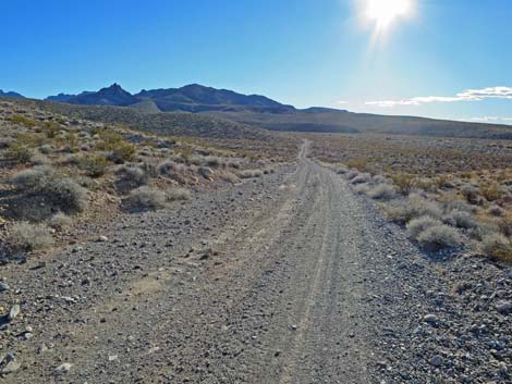 Colorock Quarry Road