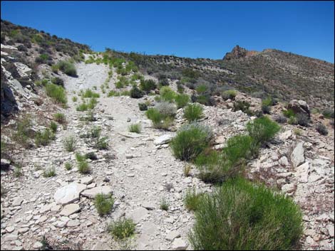 Hidden Valley East Trail