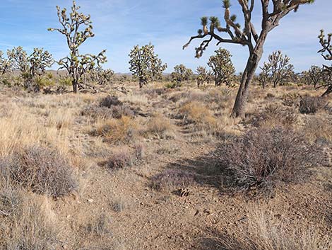 El Dorado Wagon Road Trail