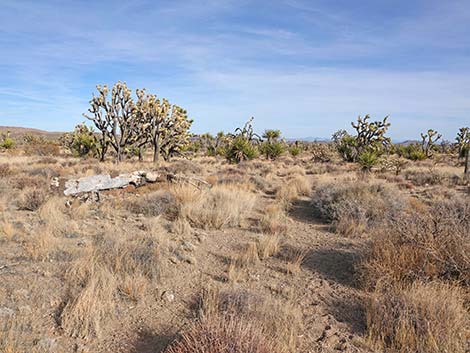 El Dorado Wagon Road Trail