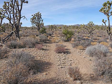 El Dorado Wagon Road Trail