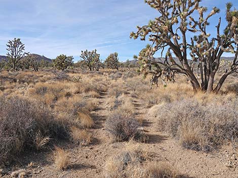 El Dorado Wagon Road Trail