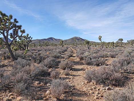 El Dorado Wagon Road Trail