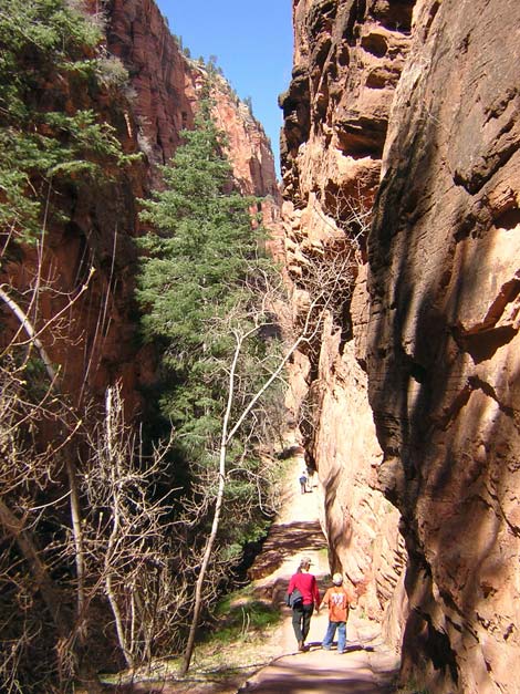 Angels Landing Trail