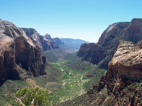 Angels Landing