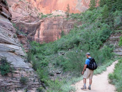 Observation Point Trail