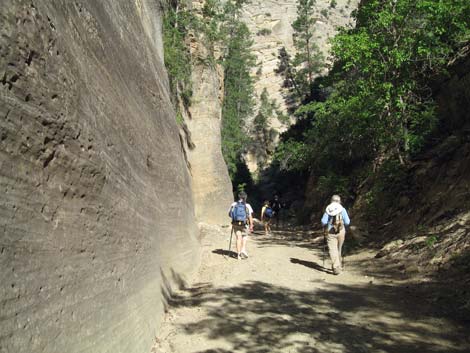 Orderville Canyon