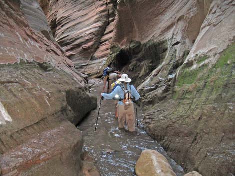 Orderville Canyon