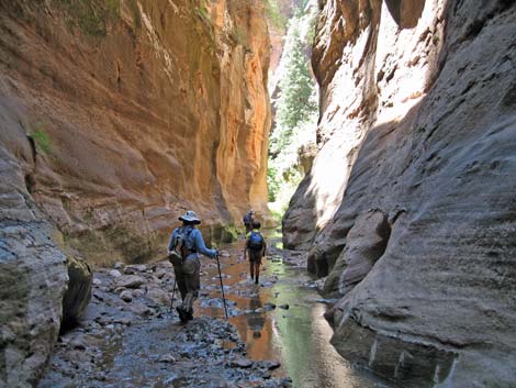 Orderville Canyon