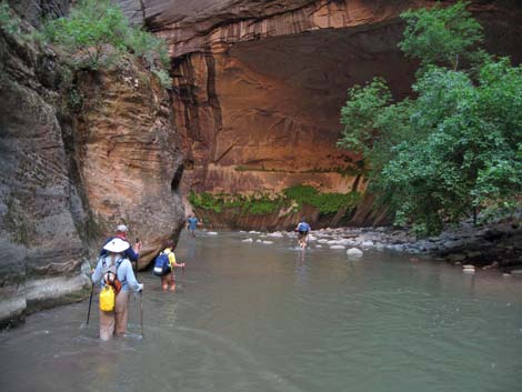 Orderville Canyon