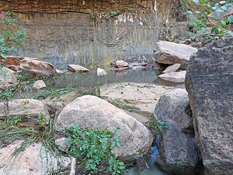 Riverside Walk Trail