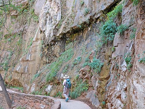 Riverside Trail