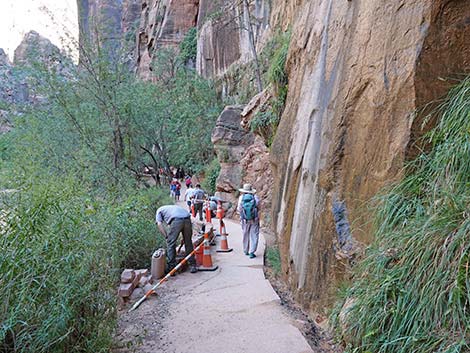 Riverside Walk Trail