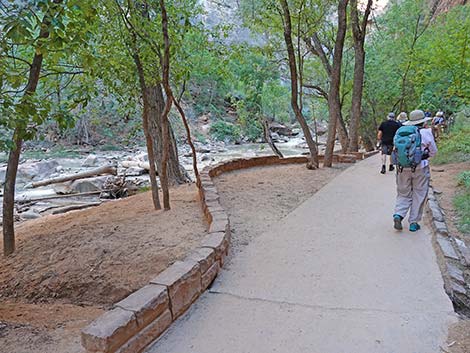 Riverside Walk Trail