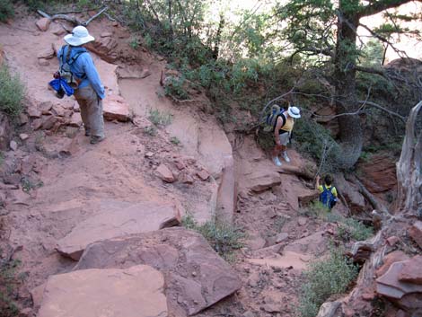 Zion Subway