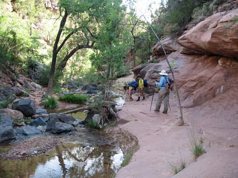 Zion Subway