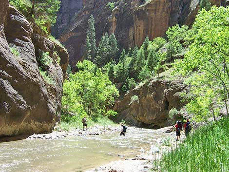 Zion Virgin River Narrows