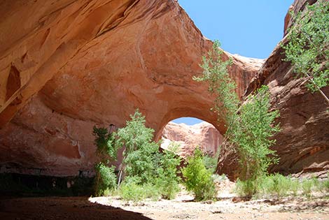 Coyote Gulch