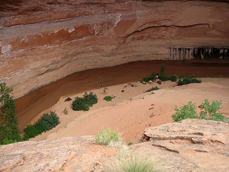 Coyote Gulch