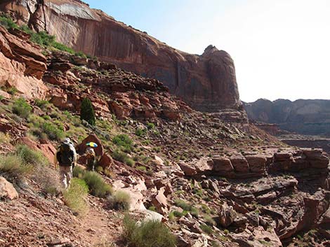 Coyote Gulch