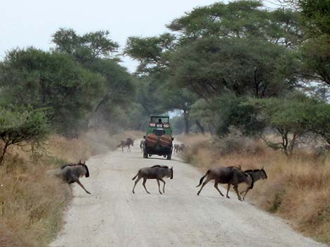 Tanzania