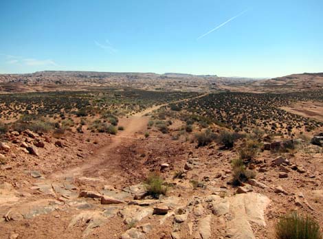 Coyote Gulch